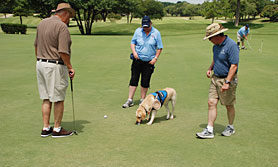 2018 Patriot Paws Golf Tournament